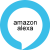 Alexa Skill